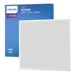 Philips LED Panel Ledinaire RC065B 28W 3400lm - 865  | 60x60cm - UGR <22