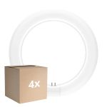 Lot 4x Ledvance Tube LED T9 Value Circulaire (EM/Direct 230V) 11W 1320lm - 840 Blanc Froid | Remplacement 22W